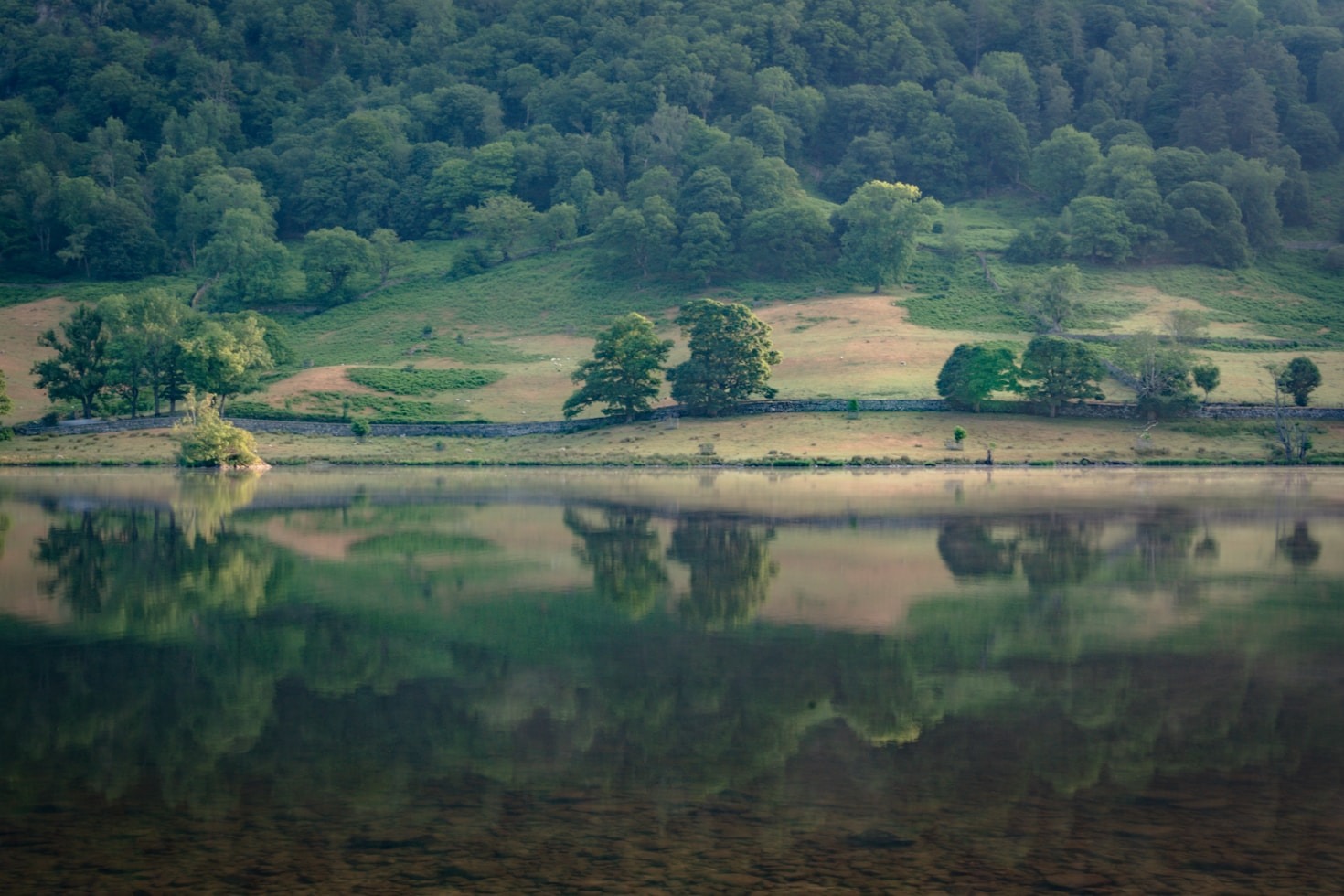 Langkah-Langkah Mudah Melestarikan Lingkungan Pegunungan